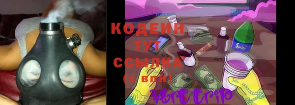 гашик Балахна