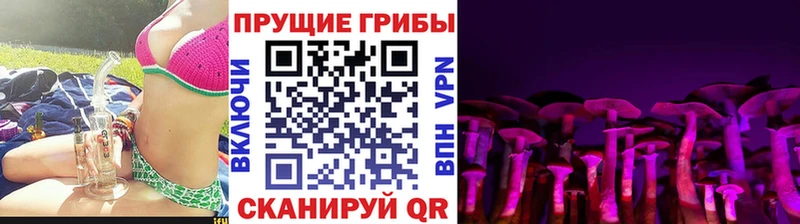 Псилоцибиновые грибы Cubensis  даркнет сайт  МЕГА   Губкинский 