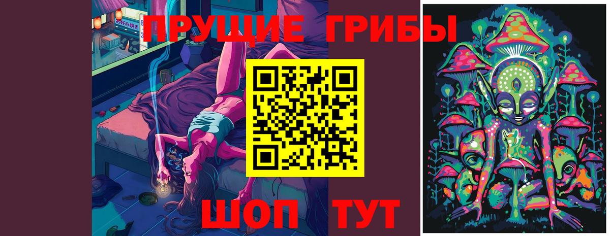 Губкинский  Галлюциногенные грибы MAGIC MUSHROOMS  Псилоцибиновые грибы Psilocybe  Вход с VPN 